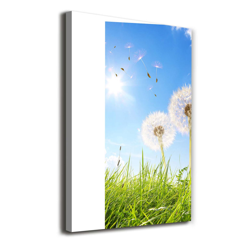 Dandelions in the meadow 1 Piece Wrapped Canvas Wall Art