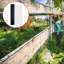 Chicken Fencing-399086180
