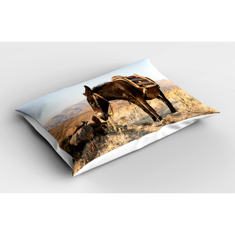 Donkey Sham Set, Twin