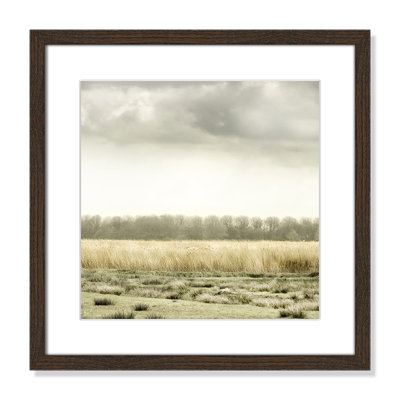 Henri "Meadowland" Print by Danita Delimont