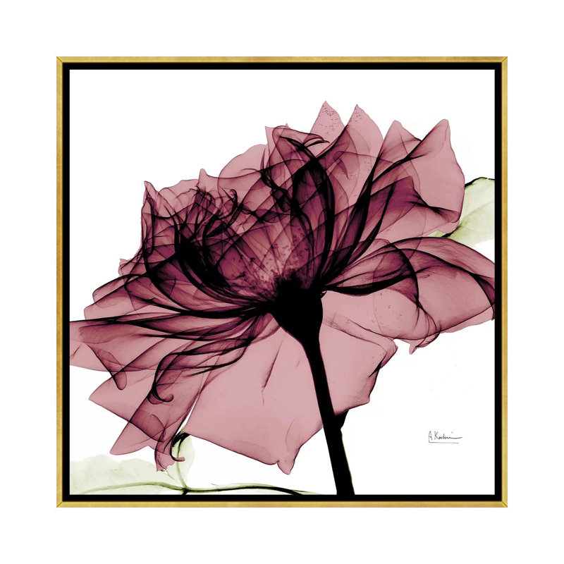 « chianti rose i », impression sur toile, H 12 po x l 12 po x P 1,5 po, Toile avec cadre doré, Pas de tapis