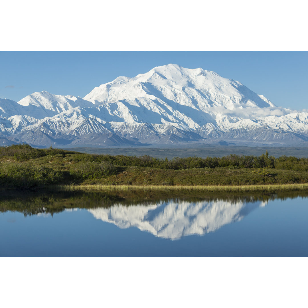 Denali National Park, Alaska.