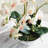Stiles Handmade Light Pink Orchid with Root Ball