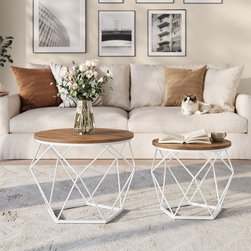Apison Enclosed Coffee Table, Brown/White