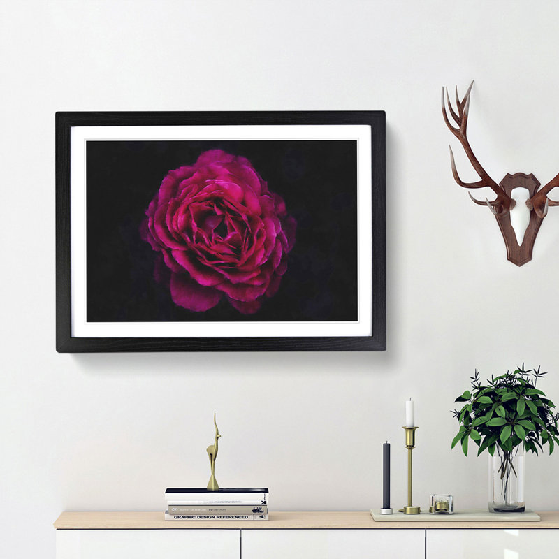 Fuscia Pink Carnation - Picture Frame Graphic Art Print, 62cm H x 87cm W x 2cm D, Black Framed