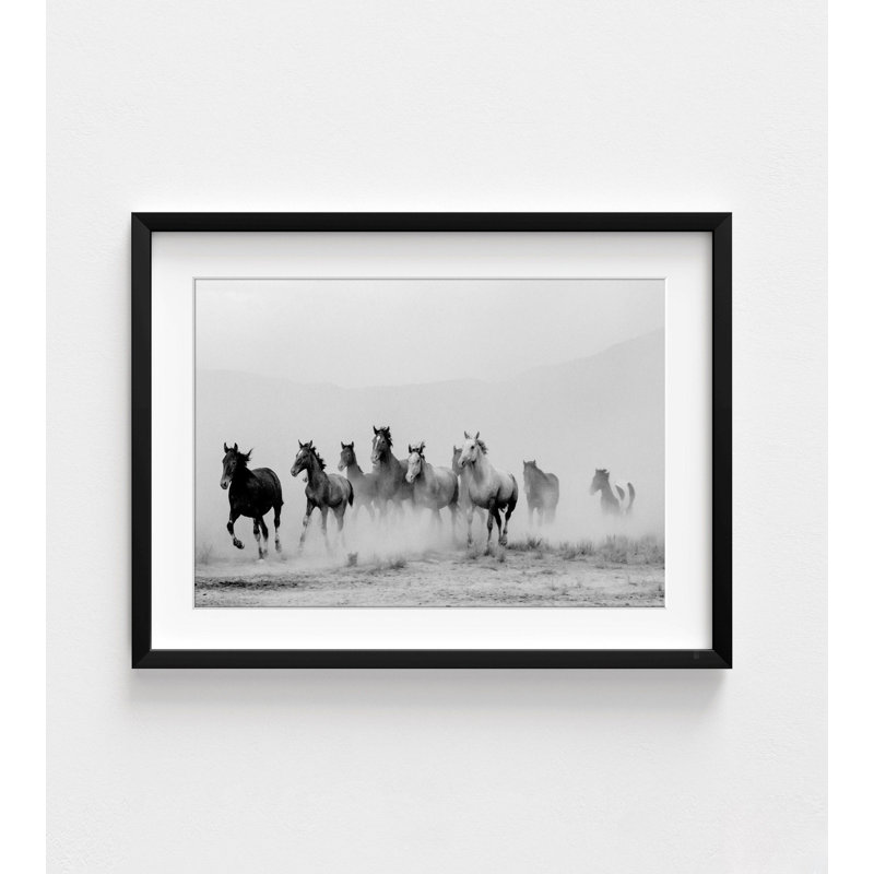 Chevaux sauvages en course | Noir et blanc 30 po x 40 po, Cadre noir, H 12 po x l 16 po, Blanc