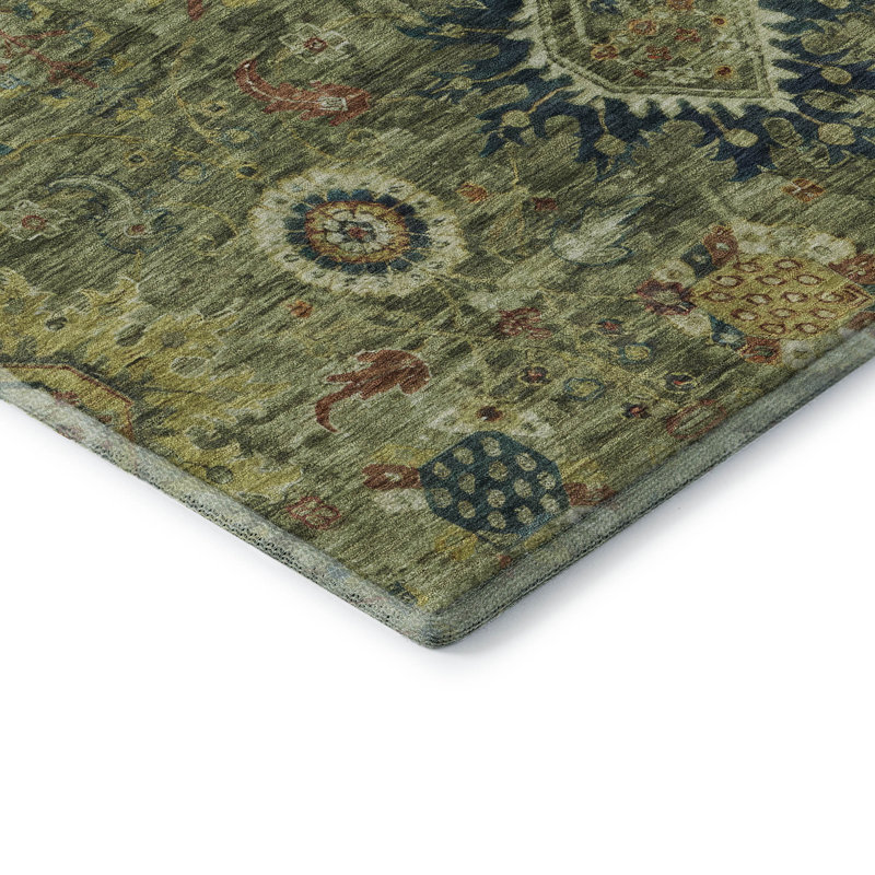Premium Machine Washable Alaina AMF1927 Global Rug, Rectangle 2'6" x 3'10"