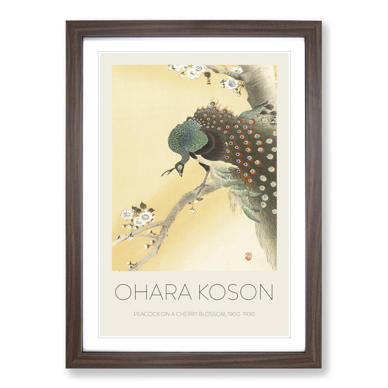 Peacock on a Cherry Blossom Tree by Ohara Koson - Picture Frame Painting, 36cm H x 27cm W x 2cm D, Walnut