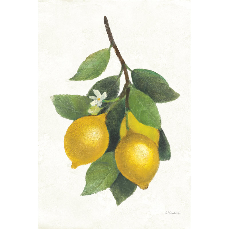 Lemon Branch III - Wrapped Canvas Print, 30cm H x 20cm W