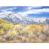 Autumn Grasses And Sierra Nevada Mts Print by Bruce Heinemann
