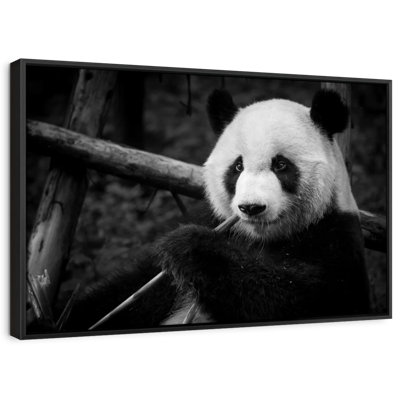«Eating Giant Panda», reproduction sur toile