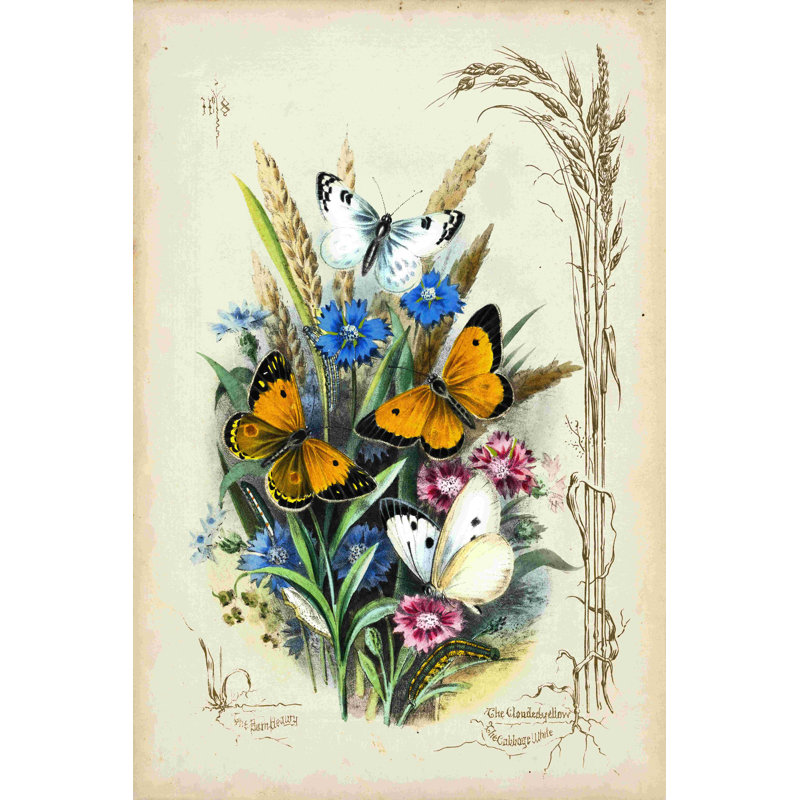 Jardin victorien des papillons I, H 48 po x l 32 po