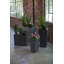 Planter-2008993432