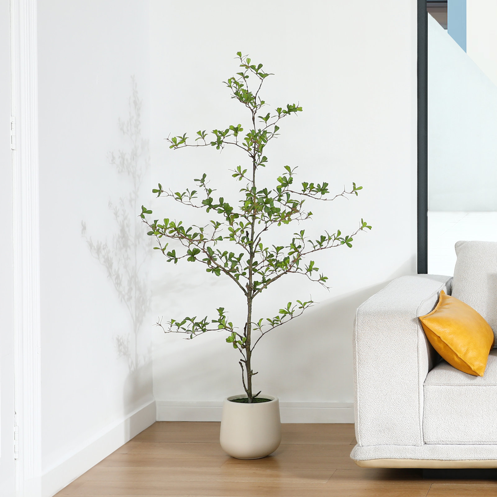 George Olive Tree in Pot, 60" H x 20" W x 20" D