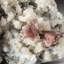 Genuine Heulandite Cluster