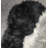 Indoor Rug-70730044
