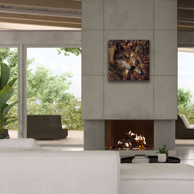 'Colors of Autumn' by Collin Bogle, Canvas Wall Art