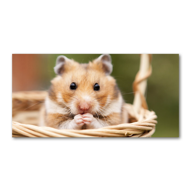 Hamster In The Basket - No Frame Print on Canvas
