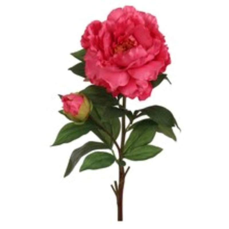 4pc 30" Peony Stem Fuchsia
