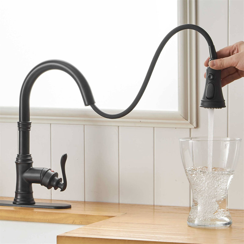 Robinet de cuisine rétractable à poignée simple avec accessoires, Noir mat
