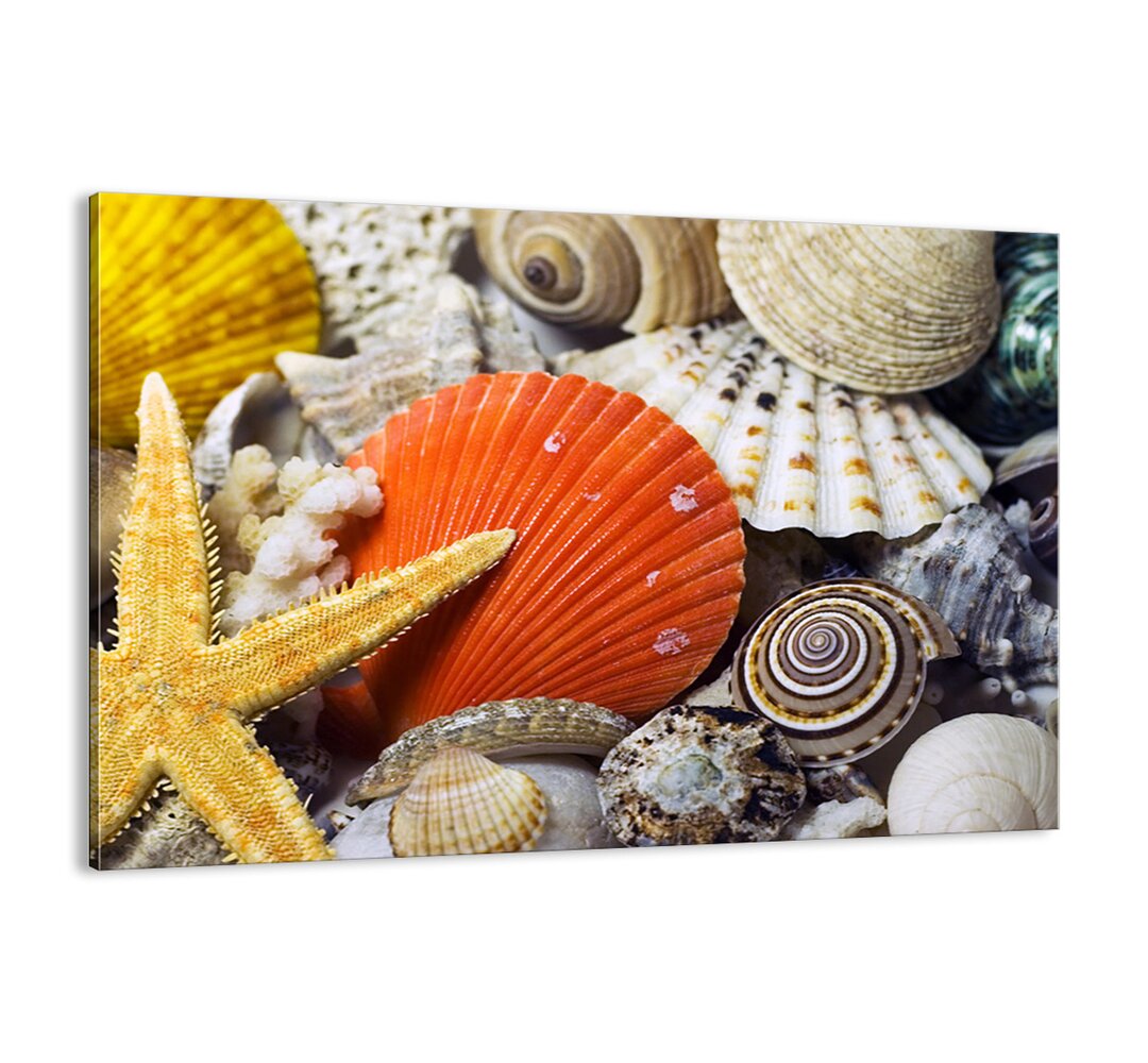 Leinwandbild - Fotografie „Ocean Treasures”