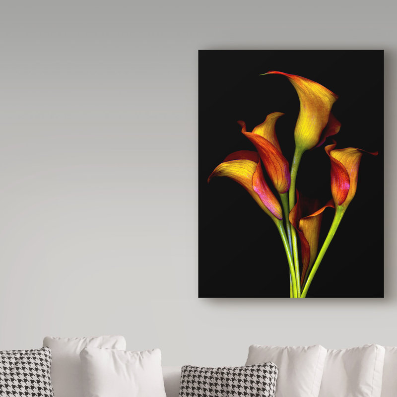 «Calla Lilies 2017» par Dosta, impression sur toile tendue, H 19 po x l 14 po x P 2 po