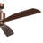 Ridley 60'' Ceiling Fan with LED Lights-82941947