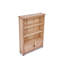 Adia 119 cm H x 85 cm W Standard Bookcase