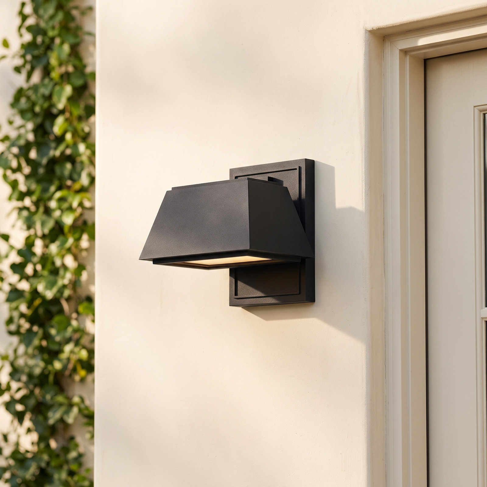 Baleine Outdoor Armed Sconce, Black