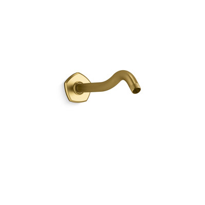 Occasion Shower Arm And Flange