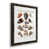 Black Framed Paper is unavailable
