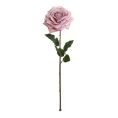 Tige de rose ouverte 20 po - paquet de 6