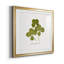 «Pressed Clover II», reproduction encadrée de qualité supérieure - prête à être accrochée-666560572-666560571
