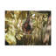 No Frame Print on Canvas-255362746