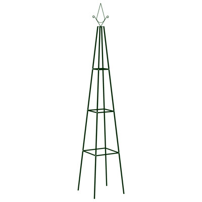 Aldrich 195cm H x 35cm W Iron Fan Trellis