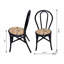 Ensemble de 2 chaises d'appoint de salle à manger en rotin