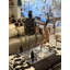 Polished Kudu Horn on Lucite Stand-1590428549