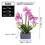 Fausse orchidée rose en pot de ciment gris rustique