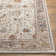 Hodder Oriental Indoor Rug