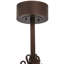 Personalized Downrod Ceiling Fan