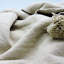 Square Indoor/Outdoor Pillow Cover-167056528
