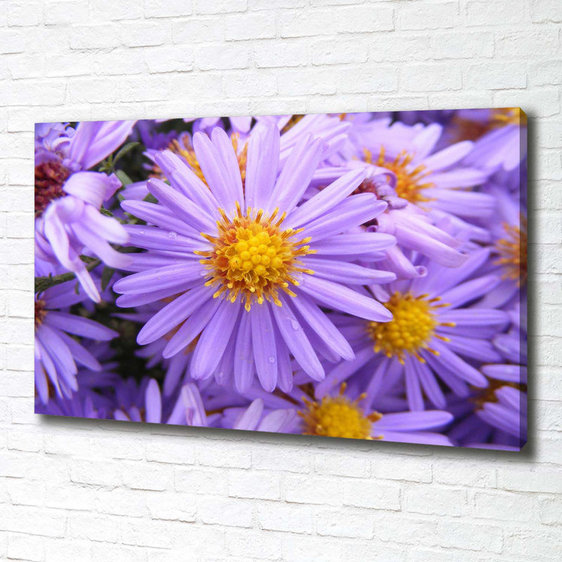 Astra - Wrapped Canvas Print