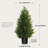 36?Artificial Cedar Tree In  a Pot a Set