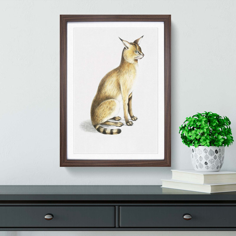 Allied Cat by John Edward Gray - Single Picture Frame Painting, 63cm H x 45cm W x 2cm D, Walnut Framed