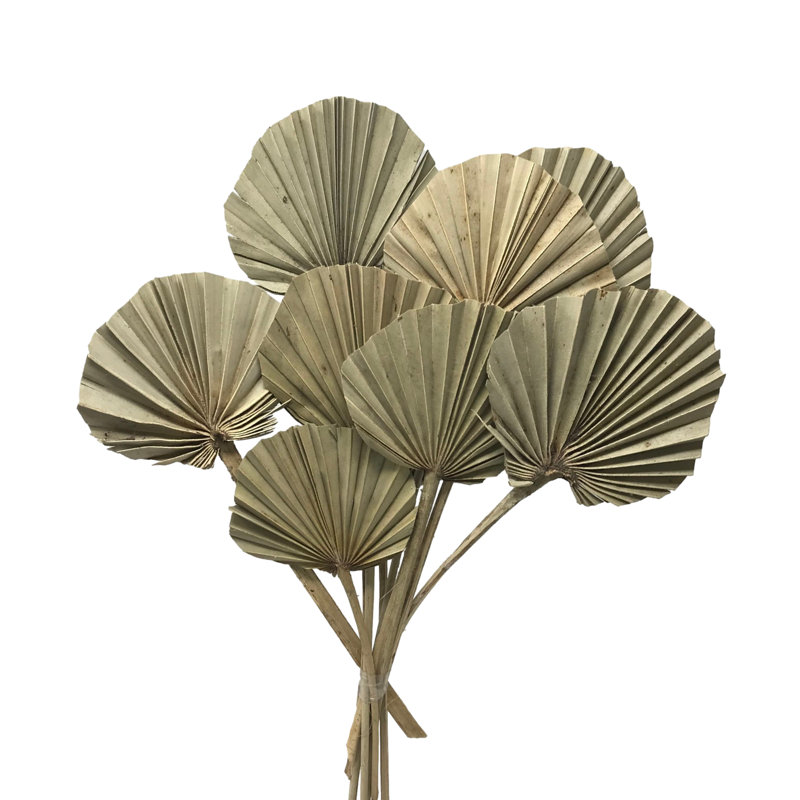 Escolta Arrangement