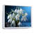 Cadre flottant blanc