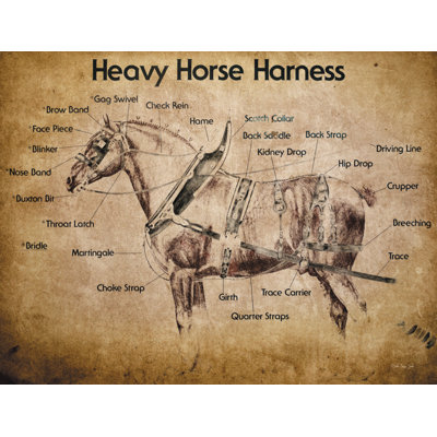 Manervia " Heavy Horse Harness " by Stellar Design Studio
