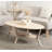 Oval Coffee Table for Living Room-1449359752