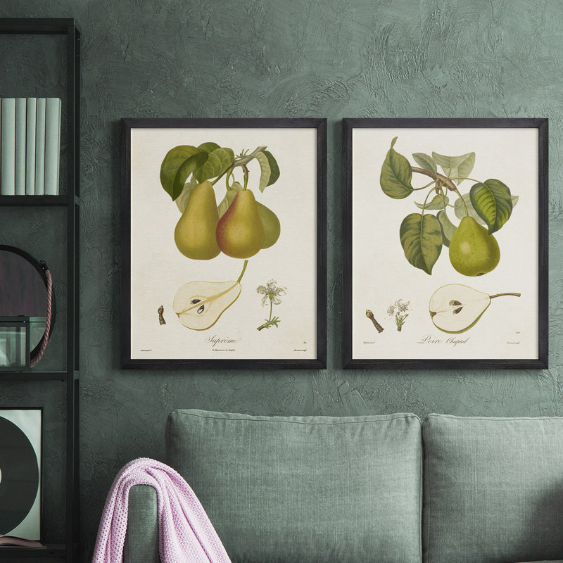Toile encadrée de qualité supérieure Vintage Pears V - prête à être accrochée