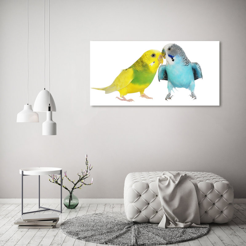 Budgies - No Frame Print on Canvas, Wrapped Canvas, 60cm H x 120cm W